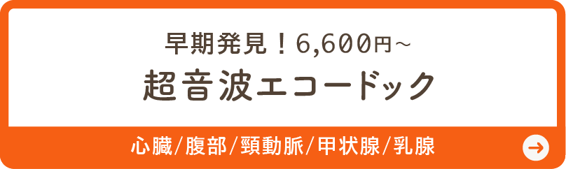 超音波エコードック