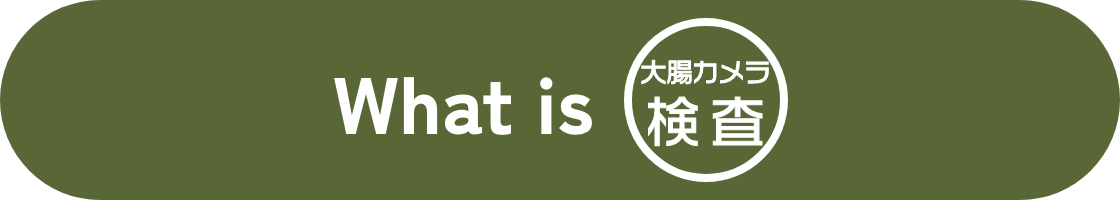 What is 胃カメラ検査