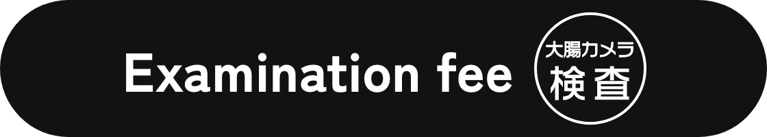 Examination fee 胃カメラ検査