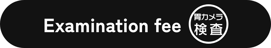 Examination fee 胃カメラ検査