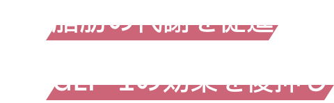 脂肪の代謝を促進