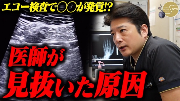 佐藤内科クリニック