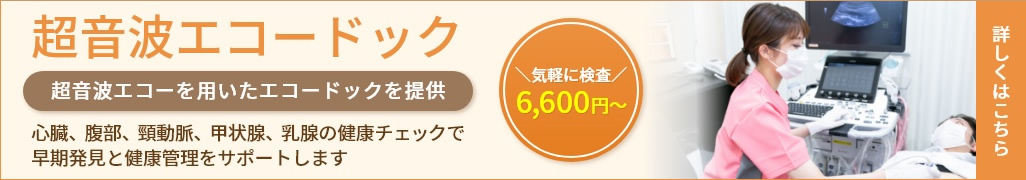 超音波エコードックのご案内