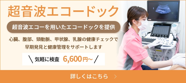 超音波エコードックのご案内